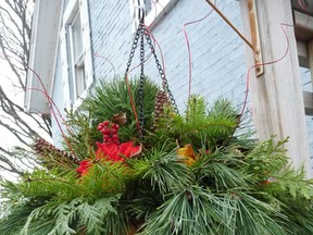 Rather than tossing out the hanging basket full of flowers that hung by his back shed, gardening expert John DeGroot repurposed the package to create a festival display for Christmas. He said it was easy enough to do, and encourages readers to follow their own instincts and style to achieve their own seasonal creations. John DeGroot photo