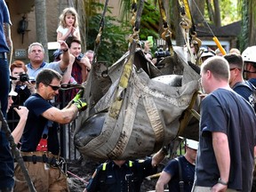 Jacksonville Fire and Rescue firefighters and City of Jacksonville crews join the Florida Fish and Wildlife Conservation Commission manatee rescue team in removing a manatee from a storm drain in the Ortega area of Jacksonville, Fla., Wednesday, Nov. 30, 2016. (Bob Mack/The Florida Times-Union via AP)