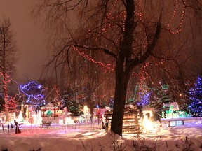 Every winter, Orangeville's Christmas in the Park comes alive with beautifully illuminated displays. This year's event begins Friday, Dec. 2 at 5:30 p.m.