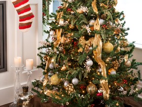 When choosing your tree, whether it's real or artificial, find one that fits your space.