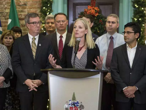 Ottawa Centre MP Catherine McKenna, alongside Ottawa Mayor Jim Watson (L) and Ottawa Centre MPP Yasir Naqvi (R), addresses the media regarding an agreement amongst many tiers of government and the hospital board on their choice of the Sir John Carling site for the construction of the new Civic Hospital. Friday December 2, 2016.(Errol McGihon, Postmedia)