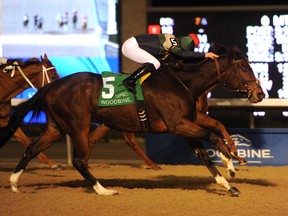 Phillip Gracey-trained Bangkok, with Emma-Jayne Wilson aboard.