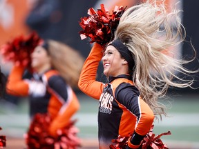 A member of the Cincinnati Bengals cheerleading squad dances during a stoppage in play in the game between the Cincinnati Bengals and the Philadelphia Eagles at Paul Brown Stadium on Dec. 4, 2016 in Cincinnati. (Gregory Shamus/Getty Images)