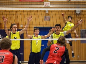 The last action of the first half of the 2016-17 ACAC sports program took place in a volleyball game between the NAIT Ooks and Augustana Vikings, who split a pair of exciting 3-2 decisions. NAIT’s Oliver McSwain serves as teammates keep an eye on the opposition. Augustana finished the first half in third place in the North Division, one win ahead of the Ooks, who hold a corresponding two-point lead over the fourth-place Lakeland Rustlers. NAIT and the King’s Eagles are scheduled to play in a San Diego tournament between Christmas and New Year’s. (Photo courtesy NAIT)