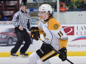 Filip Helt got off to a great start with the Sarnia Sting this fall, scoring goals in each of his first two Ontario Hockey League games. But the 18-year-old Czech import hasn't scored since. (Metcalfe Photography)