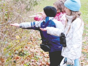 Young bird watchers who participated in last weekend?s Christmas Bird Count for Kids feed some black-capped chickadees in London?s Springbank Park. Cathy McCrae, who again co-ordinated the count, said that the species sightings were the best ever with a red-headed woodpecker, a common loon, sandhill cranes and bald eagles. (PAUL NICHOLSON/SPECIAL TO POSTMEDIA NEWS)