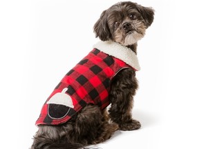 For your favourite pet, keep Fido from freezing. Add another layer of cuteness to your already cute top dog with this adorable and extra cozy Martha Stewart Pets Red Buffalo Check Acorn coat; $20.99.