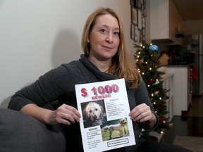 Avonlea Martin holds a poster of her lost dog Oakley at her Kingston home on Tuesday December 6 2016. (Ian MacAlpine/The Whig-Standard)