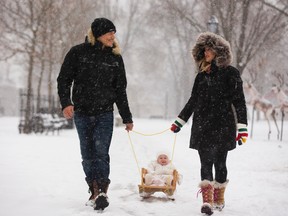 Phil and Niki Poulin of London tow their daughter Harlow, 1, on her sled through the winter wonderland of Victoria Park on Sunday. (MIKE HENSEN, The London Free Press)