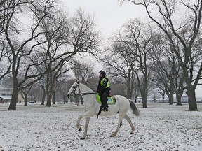 Claudia Sid exercises Blue Moon in Coronation Park in Toronto on Sunday December 11, 2016. Dave Abel/Toronto Sun