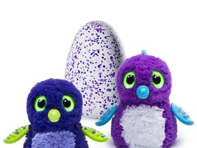 A hot, but scarce, toy this Christmas, the wildly-popular Hatchimals.
Handout/Cornwall Standard-Freeholder