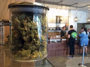 In this April 20, 2016 file photo, customers buy products at the Harvest Medical Marijuana Dispensary in San Francisco. California's lopsided U.S. Senate is nearing a historic end and voters are pondering a long list of ballot questions that could legalize marijuana, end the death penalty and slap cigarette smokers with a $2-a-pack tax increase. (AP Photo/Haven Daley, File)