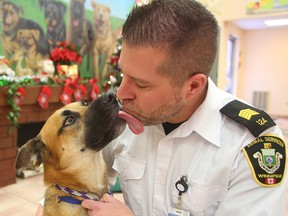 Leland Gordon, COO of Winnipeg Animal Services, gets a kiss from shepherd mix "Jack" in Winnipeg, Man. Tuesday December 13, 2016. (Brian Donogh/Winnipeg Sun/Postmedia Network)