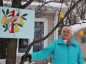Pauline Walsh, of Bright's Grove, shows off one of her Twelve Days of Christmas paintings she's created for her Thelma Avenue front yard. The 73-year-old cancer survivor's Christmas display has attracted the attention of neighbours. (Barbara Simpson/Sarnia Observer/Postmedia Network)