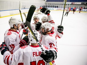 Sudbury Wolves forward Alan Lyszczarczyk (11) celebrates a goal for Team Poland against Hungary on Thursday. Lyszczarczyk was a force for Poland at the world junior championship this past week, but his team stumbled on the final day of the Division I Group B tournament in Budapest on Saturday. PZHL photo