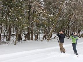 Jeff Skevington (left) and Liz Purves (right) trekked through chest-deep snow near a marsh during the first few hours of Oxford's Christmas Bird Count on Saturday, Dec. 17, 2016. Highlights included a Kingfisher diving for fish and a Northern Shrike sighting. (MEGAN STACEY/Sentinel-Review)