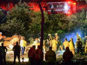 Los Angeles County Fire Dept. firefighters work at the scene where a large tree fell on a wedding party in Whittier, Calif., Saturday, Dec. 17, 2016. One person was killed and five others were injured with a large eucalyptus tree fell on a wedding party taking photographs at a Southern California park Saturday, authorities said. Several people were trapped under the tree at Whittier's Penn Park, the Los Angeles County Fire Department said. (Keith Durflinger/The Whittier Daily News via AP)