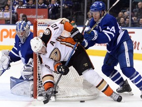 Anaheim Ducks right wing Corey Perry plays the puck by the side of the net as Toronto Maple Leafs goalie Frederik Andersen looks on and defenceman Morgan Rielly defends during an NHL game in Toronto on Dec. 19, 2016. (THE CANADIAN PRESS/Nathan Denette)