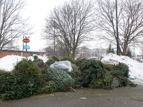 London is no longer offering tree depots, such as this past location at Masonville Place. (File photo)