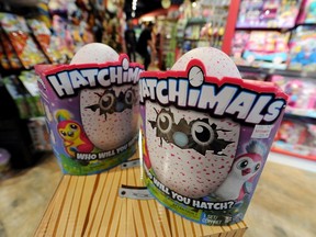Hatchimal is the craze for this year's Christmas. (Rafe Arnott/Postmedia Network)