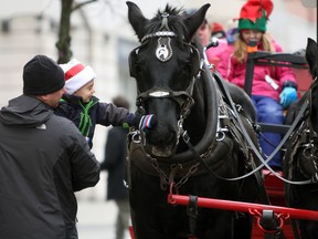 From the arms of his father Todd Arsenault, Gavin Llewellyn pets one of the horses from the free wagon rides provided downtown Kingston, Ont. on Saturday December 24, 2016. Steph Crosier/Kingston Whig-Standard/Postmedia Network