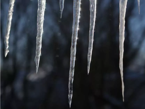 Icicles in Ottawa Thursday Dec 15, 2016.