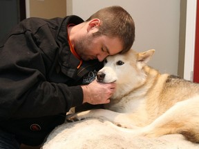 William Gibb of Red Deer, Alta., cuddles up with his five year old husky named Sasha for a portrait at home on Wednesday, December 28, 2016. On Boxing Day Gibb rescued Sasha from the jaws of a Cougar, beating it with his fists and a stick outside a Tim Hortons Restaurant in Whitecourt, Alberta. THE CANADIAN PRESS/Jeff Stokoe