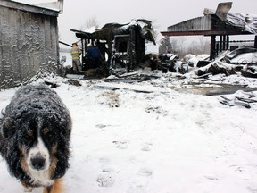 Loyalist Township Emergency Services firefighters examine the smoky remains of a barn on Empey Road near Yarker, Ont. on Thursday January 28, 2016. The barn was fully involved when firefighters arrived around 11:10 p.m. Wednesday night. Earlier that evening, Kally Jack, daughter of the barn owner, had let out her mother's dogs and put the horses in the field for the night.  Steph Crosier/Kingston Whig-Standard/Postmedia Network