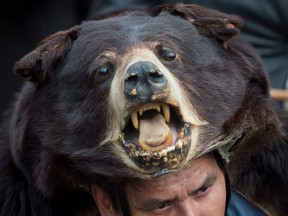 Thomas Terry, of the St?at?imc First Nation, wears a black bear hide during a protest in November against the Kinder Morgan Trans Mountain Pipeline expansion, in Vancouver, B.C. (Postmedia Network file)