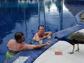 MEXICO: Texans Eric and Shannon Waits enjoy a cocktail and fun interaction with a pretty peacock, one of several colourful pets that roam the lush gardens of Hotel Casa Velas, Puerto Vallarta. (Barbara Taylor/London Free Press)