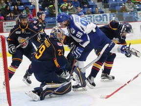 Dmitry Sokolov, right, of the Sudbury Wolves, crashes to the net as goalie Mackenzie Blackwood, of the Barrie Colts, follows the puck during OHL action at the Sudbury Community Arena in Sudbury, Ont. on Friday November 6, 2015. John Lappa/Sudbury Star/Postmedia Network