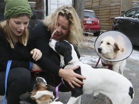 Carly Werle and Dani Dies(L) are pictured with rescued dogs that were awaiting death at U.S. animal shelters. (VERONICA HENRY, Toronto Sun)