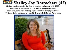 shelley desrochers poster