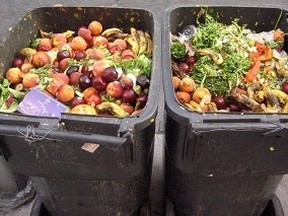 food waste