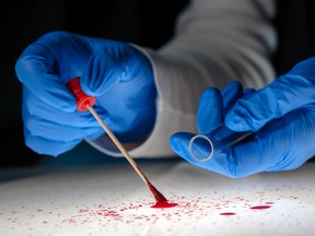 Forensic technician taking DNA sample from blood stain with cotton swab on murder crime scene. (Getty Images Photo Illustration)