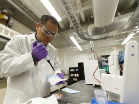 University of Alberta materials engineering professor Hyo-Jick Choi demonstrates his solution that turns masks into virus killers using salt during an interview at the U of A in Edmonton, Alberta on Thursday, January 5, 2017. Ian Kucerak / Postmedia