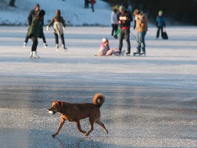 A dog runs across an ice-covered lake as skaters enjoy a cold sunny day with the temperature reaching minus 12 degrees Celsius (10.4 degrees Fahrenheit), in Warsaw, Poland, Friday, Jan. 6, 2017.(AP Photo/Czarek Sokolowski)