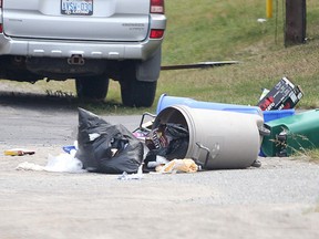 Gino Donato/Sudbury Star
Garbage litters a curb in the South End in Sudbury, Ont. on Friday, Aug. 7, 2015. Bears were a problem in the area all summer, but a new tool allows people to track and report bear sightings.