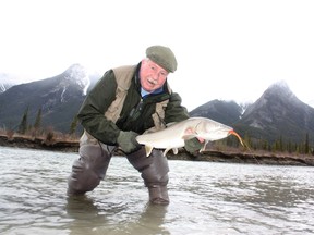 Neil with a “God-awful big” Athabasca River bull trout