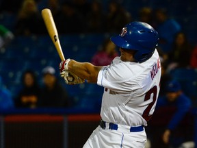 Ottawa Champions outfielder Matt Helms. (James Park, Postmedia Network)