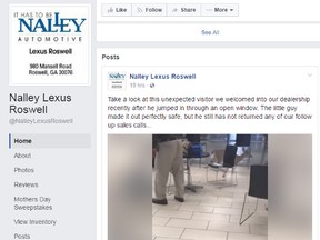 Nalley Lexus in Roswell, Georgia, posted  a video Monday on Facebook that shows the deer slipping and sliding on the showroom floor before running into the garage area and out one of the doors. (Facebook  screengrab)