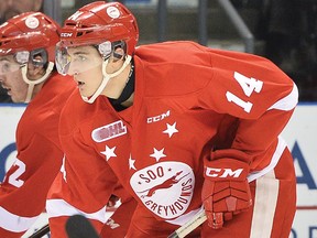 The Sarnia Sting completed a trade prior to Tuesday's deadline, picking up defenceman Theo Calvas from the Sault Ste. Marie Greyhounds for a seventh-round draft pick. The pick sent to the Soo is in 2018. (Handout)