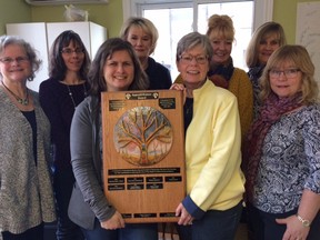 Nominations are being sought for the AppreSHEation award. Committee members from left to right are Phyl McCrum,  Ingame Homes, Lorene Bruschetto,  public health, Sue Barg,  Family Violence Counselling Program Jayne Brewster,  community member, Karen Moritz,  Domestic Abuse Services Oxford, Toni Doody-Syrett,  Ingamo Homes, Mary Anne daCosta,  Ingamo Homes, and Irma Slager,  Canadian Mental Health Association. (HEATHER RIVERS, Sentinel-Review)