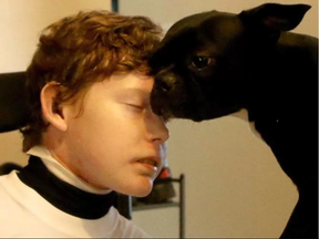 Jonathan Pitre and his Boston terrier, Gibson, are reunited. (Courtesy Tina Boileau)