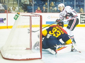 Christopher Paquette of the Niagara IceDogs shoots wide against Erie Otters goalie Troy Timpano during OHL action in St. Catharines on Oct. 19, 2016. Paquette will debut with the Peterborough Petes on Thursday night at the Memorial Centre in their game against the Oshawa Generals. (Julie Jocsak/St. Catharines Standard/Postmedia Network)