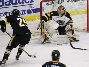 Hamilton Bulldogs goalie Kaden Fulcher prepares for a shot from Sarnia Sting forward Jordan Kyrou during the Ontario Hockey League game at Progressive Auto Sales Arena on Wednesday, Jan. 11, 2017 in Sarnia, Ont. Fulcher, an 18-year-old Brigden native, was drafted by the Sting in 2014 and dealt to Hamilton prior to last year's trade deadline. (Terry Bridge/Sarnia Observer/Postmedia Network)
