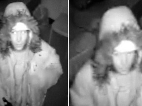 Suspect is sought in two break-ins at Ottawa Canine School