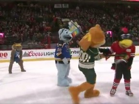 Nordy, the Wild's mascot, staged a mock beating of Blackhawks rival Tommy Hawk during a game Thursday. (Twitter/screengrab)