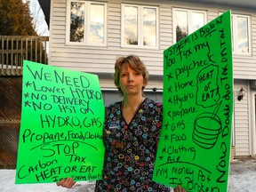 Single mom Kathy Katula, 54, from Buckhorn, Ont., with her placards at her home on Saturday, January 14, 2017. (Clifford Skarstedt/Postmedia Network)