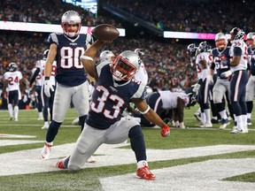 Dion Lewis of the New England Patriots celebrates after scoring a touchdown against the Houston Texans during an AFC divisional playoff Game at Gillette Stadium on Jan. 14, 2017. (Jim Rogash/Getty Images)
